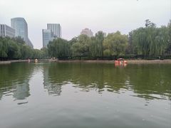 -团结湖公园
