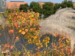 -同济大学(嘉定校区)