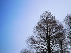 -85度C(南京珠江华海店)