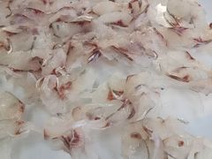 -八仔大富楼·河鲜(西江店)