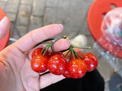 -肖肖酸萝卜鱼火锅(总店)