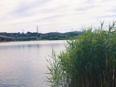 -永定河休闲森林公园