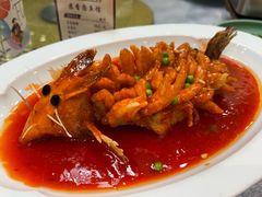 -丁老爷子苏香圆