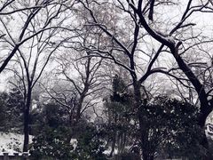 -冶春茶社(太和广场店)