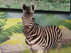 -陕西自然博物馆