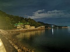 -旺富东海大酒楼(海鲜街店)