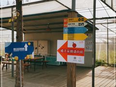 -前小桔亲子创意农场·草莓采摘·露营烧烤