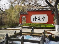 -百脉泉景区