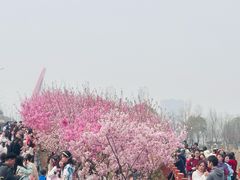 -艾溪湖湿地公园