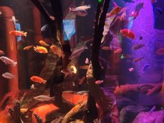 -沈阳海洋探索中心