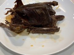 -食家鸽园