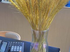 -镜客眼镜(大东方百货店)