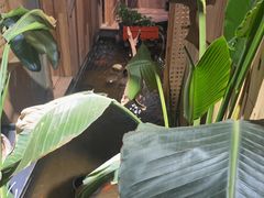 -邈墨茶馆(凤起路店)