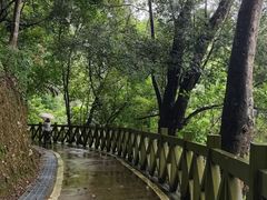 -广州市流溪河国家森林公园