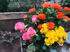 -艾加柒克蛋糕茶歇甜品台(春熙路店)