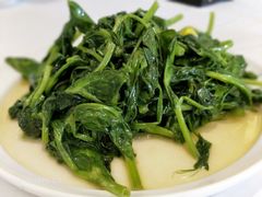 银杏豌豆尖-眉州东坡(北苑华贸店)