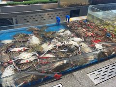 -半岛听涛蒸汽海鲜自助(K11店)