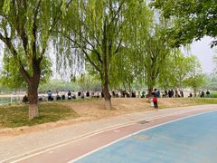 -太阳宫公园