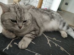 -平行世界·猫咖(首经贸店)