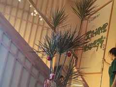 -艾柏堂·经络·艾灸调理(中天健店)