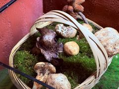 -滇野云南野生菌餐厅(陕西南路店)
