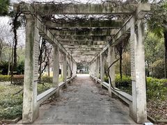 -湖北省钟祥市第三中学