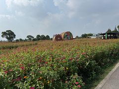 -嘉北郊野公园