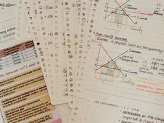 -JT PREP国际学科课程·IB·AP·Alevel(陆家嘴校区)