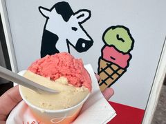 -Dip in Gelato(富民路店)