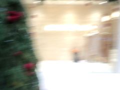 -泸溪河桃酥(湖滨银泰in77店)