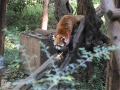 -昆明动物园