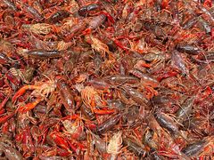 -永辉超市(嘉定宝龙广场店)