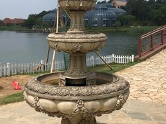 -大塘金香草谷