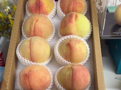 -老袁家蜜桃农场·阳山水蜜桃