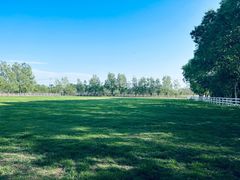 -北京群众马术培训基地