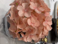 -万荣烤鸭店·北京菜(农光里店)