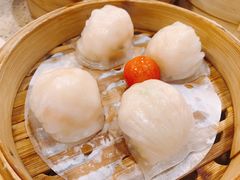 金牌虾饺皇-点都德(盘福楼店)