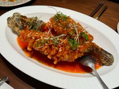 -觅唐MITONG(鸟巢店)