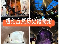 -美国自然历史博物馆