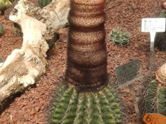 -南通洲际绿博园