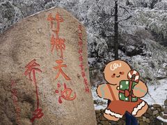 -江南天池