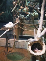 -Zoolung Zoolung动物主题公园(海信广场店)