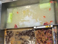 -野妹火锅(南园店)