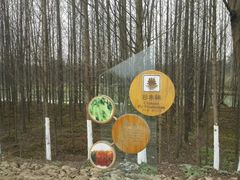 -桤木河湿地公园