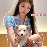 🐶超治愈柴犬咖！一起来撸奶fufu的柴柴吧