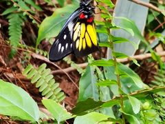 -水濂山森林公园