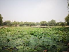 -太阳宫公园