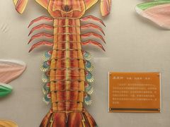 -潍坊世界风筝博物馆