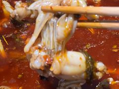 -石锅苗苗鱼(武汉首店)
