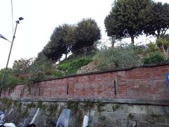 -米开朗琪罗广场